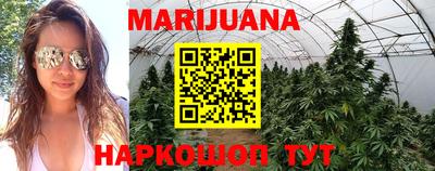 прущие крисы Канаш