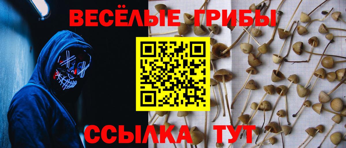 Галлюциногенные грибы Magic Shrooms Ленинск-Кузнецкий